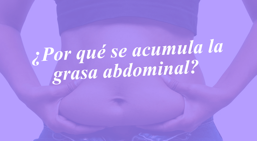 ¿Por qué se acumula grasa abdominal?